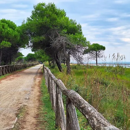 Modern Retreat With A Big Terrace * Bibione
